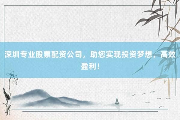 深圳专业股票配资公司，助您实现投资梦想，高效盈利！
