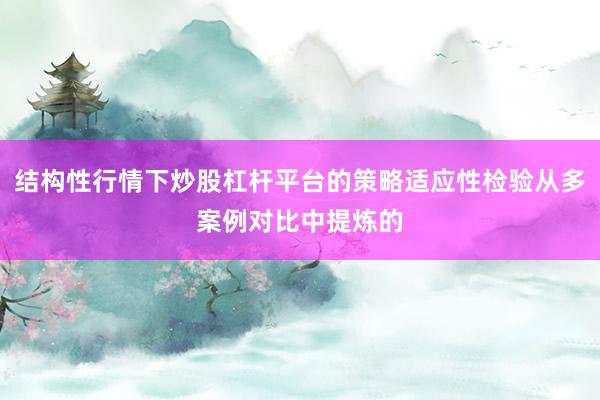 结构性行情下炒股杠杆平台的策略适应性检验从多案例对比中提炼的