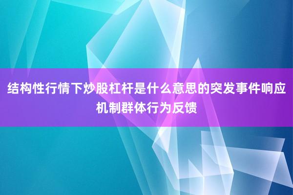 结构性行情下炒股杠杆是什么意思的突发事件响应机制群体行为反馈