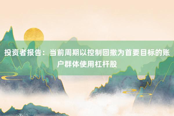 投资者报告：当前周期以控制回撤为首要目标的账户群体使用杠杆股